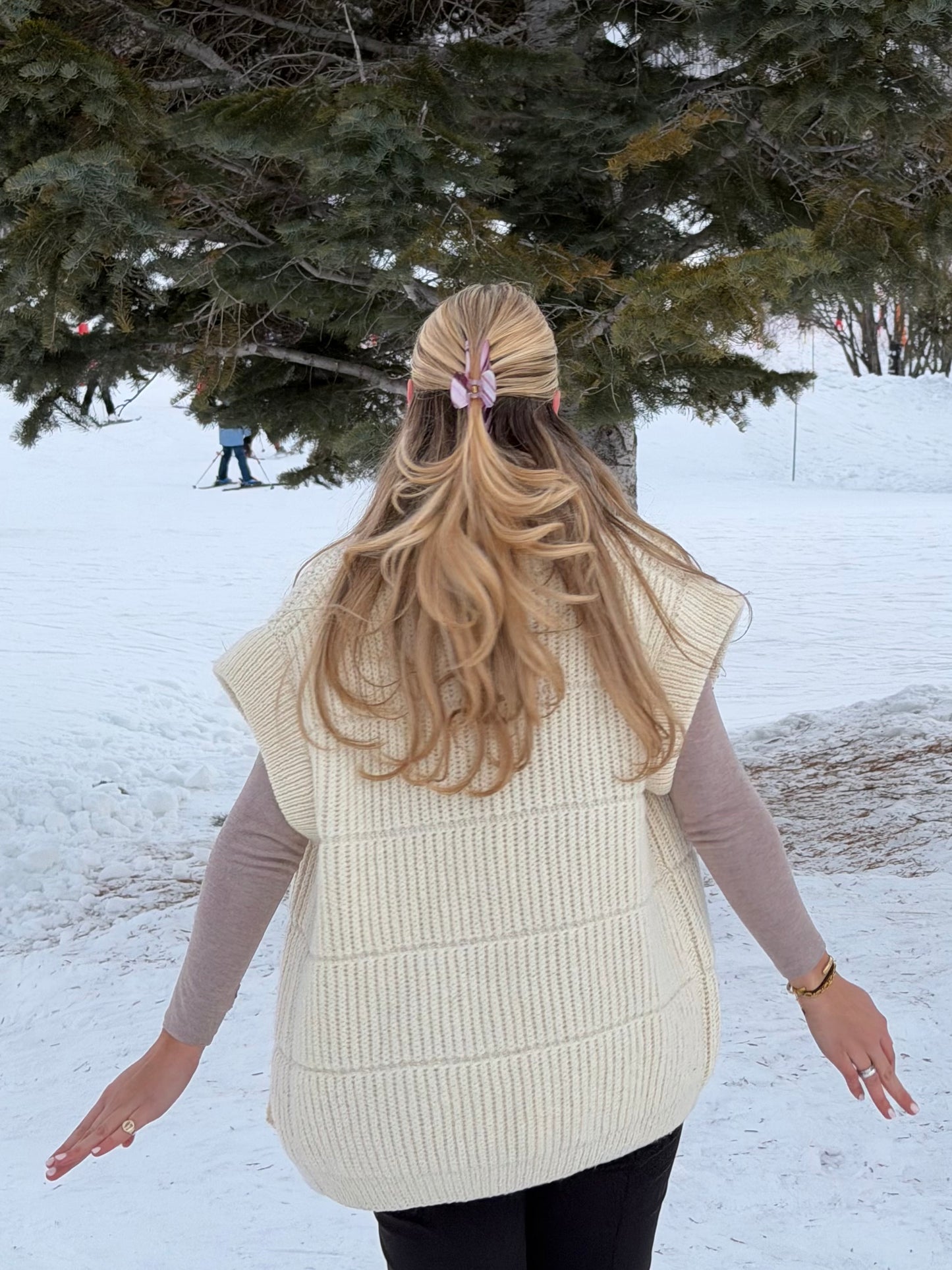 Alpine Knit Vest (M)