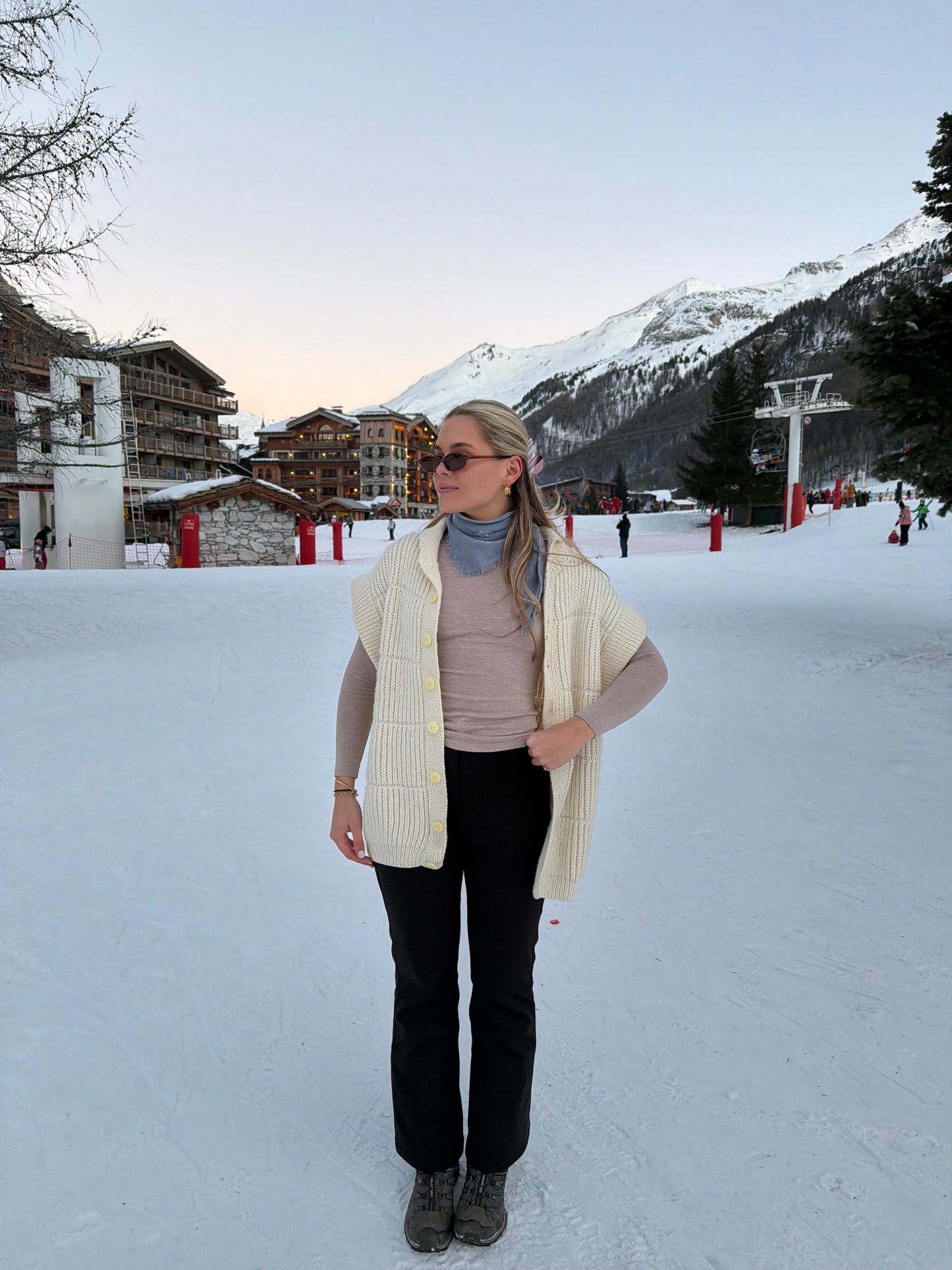 Alpine Knit Vest (M)